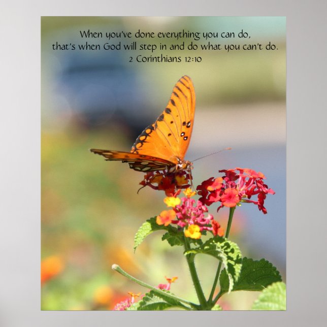 Butterfly on Wildfllowers, Scripture Verse Poster (Front)