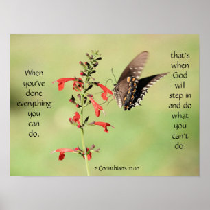 Butterfly on Wildfllowers, Scripture Verse Poster