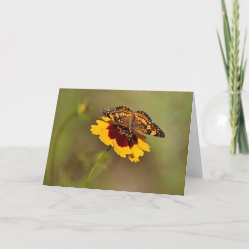 Butterfly on Wildflower Note Card