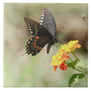 Butterfly on Wildflowers Ceramic Tile