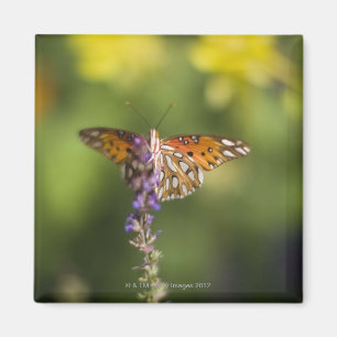 Butterfly on wildflowers magnet