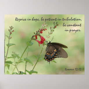 Butterfly on Wildflowers, Verse Romans 12:12 Poster