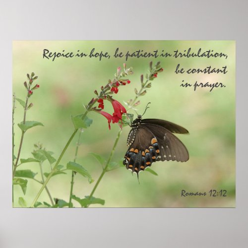 Butterfly on Wildflowers Verse Romans 1212  Poster