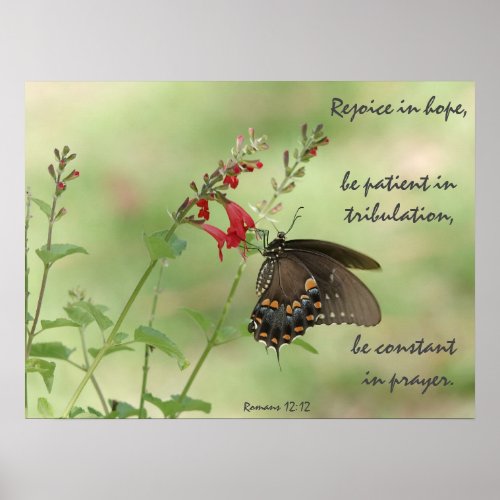 Butterfly on Wildflowers Verse Romans 1212 Poster