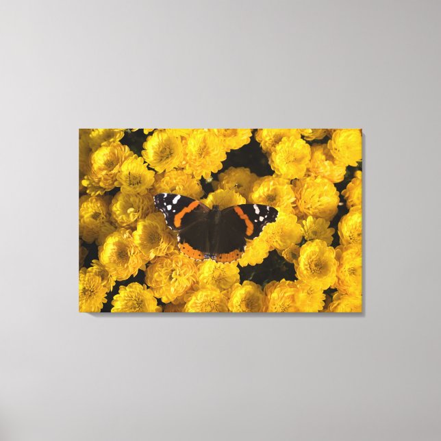 Butterfly on yellow asters canvas print (Front)