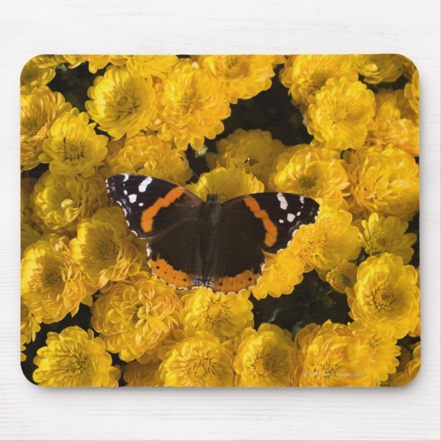 Butterfly on yellow asters mouse pad (Front)