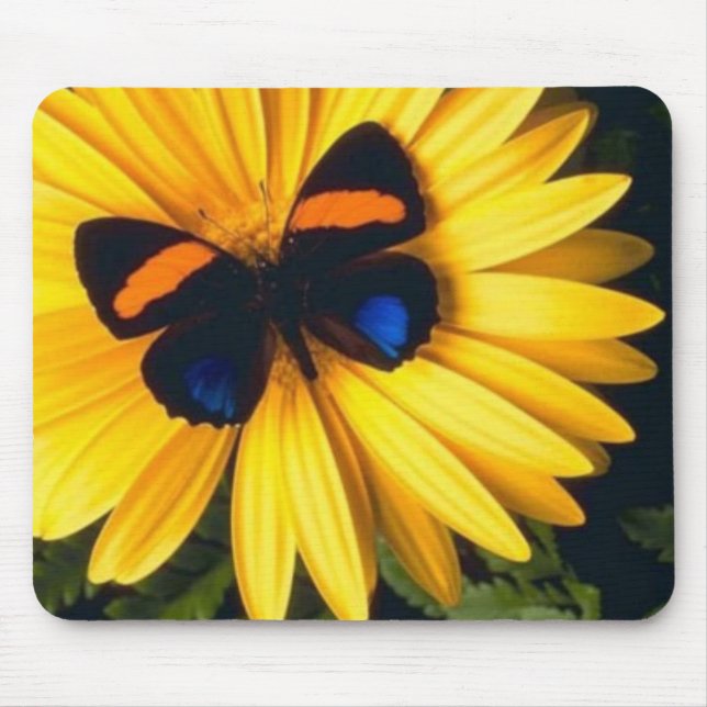 Butterfly on Yellow Daisy Mouse Pad (Front)