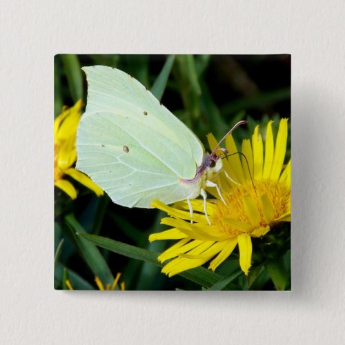 Butterfly On Yellow Flower Button Pin