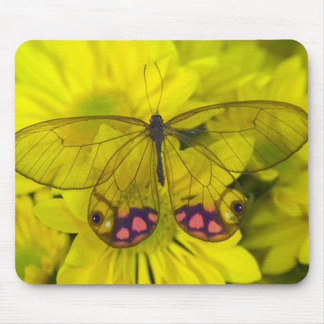Butterfly on Yellow Flowers Mouse Pad (Front)