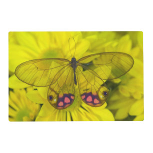 Butterfly on Yellow Flowers Placemat