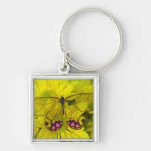 Butterfly on Yellow Keychain