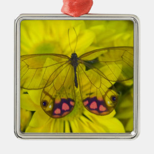 Butterfly on Yellow Metal Ornament