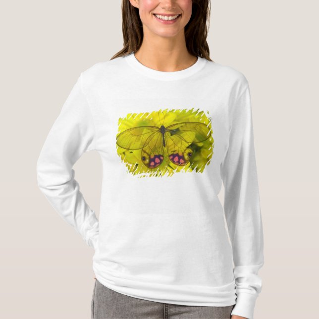 Butterfly on Yellow T-Shirt (Front)