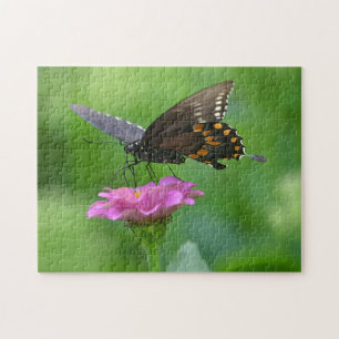 Butterfly On Zinnia Puzzle