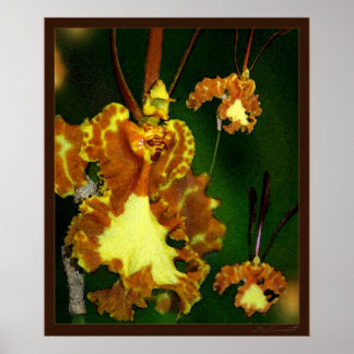 Butterfly Orchid Art Print -20x24 -or smaller