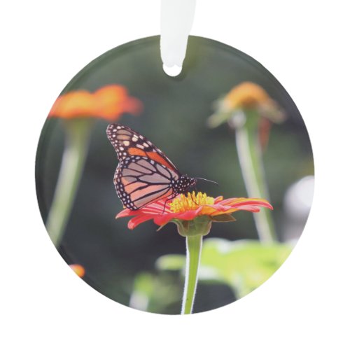 Butterfly Ornament