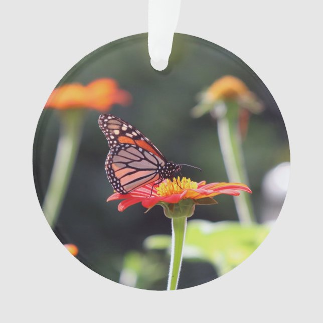 Butterfly Ornament (Front)