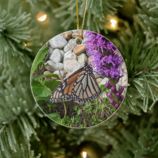 butterfly ornament