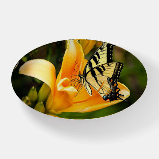 Butterfly Oval Paperweight