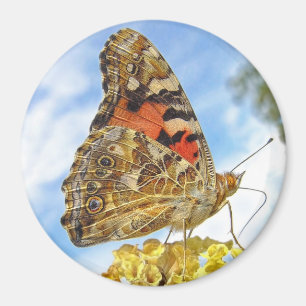 Butterfly Painted Lady Magnet