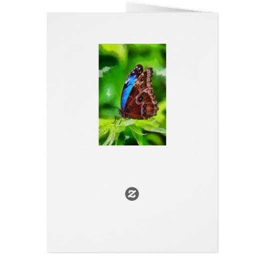 Butterfly painting (Back)