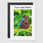 Butterfly painting (Front/Back)