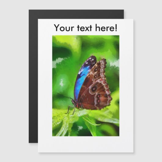 Butterfly painting (Front/Back)