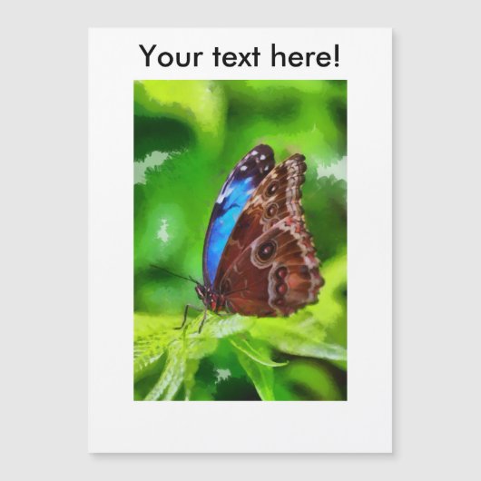 Butterfly painting (Front)