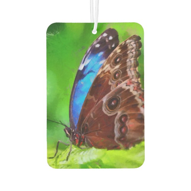 Butterfly painting air freshener (Back)