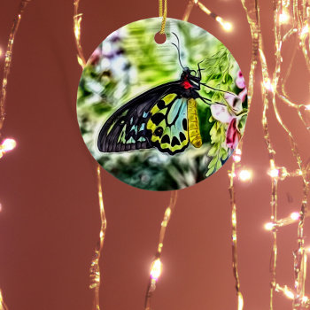 Butterfly Painting Ceramic Ornament by angelandspot at Zazzle