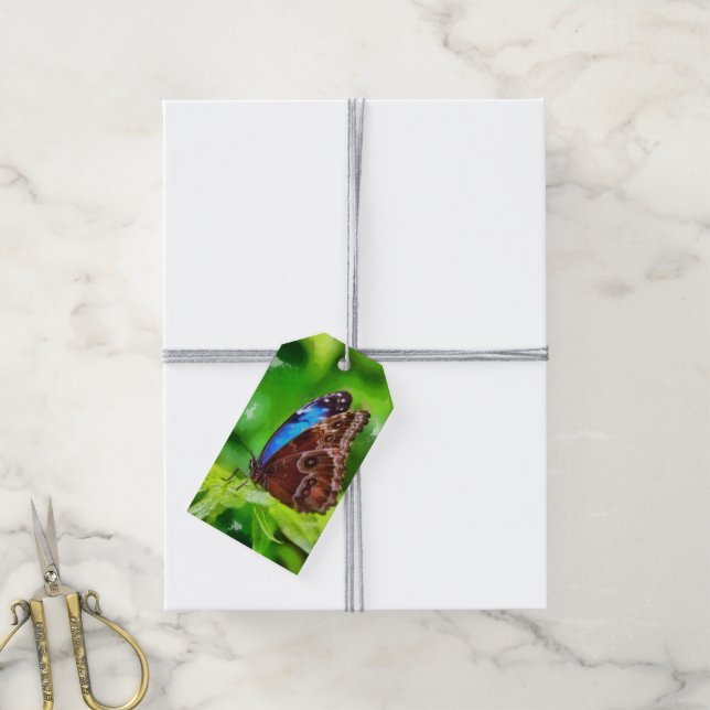 Butterfly painting gift tags (With Twine)