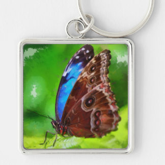 Butterfly painting keychain