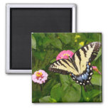 Butterfly Painting Magnet at Zazzle
