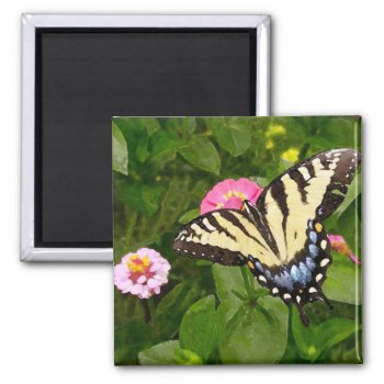 Butterfly Painting Magnet by imagefactory at Zazzle