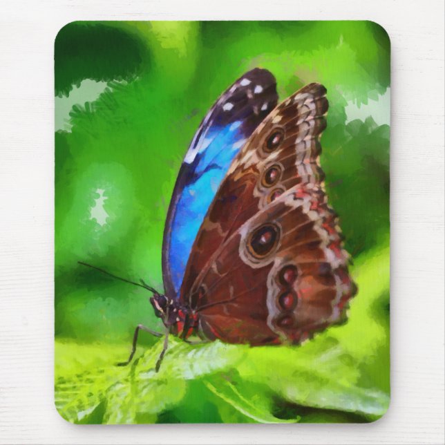Butterfly painting mouse pad (Front)