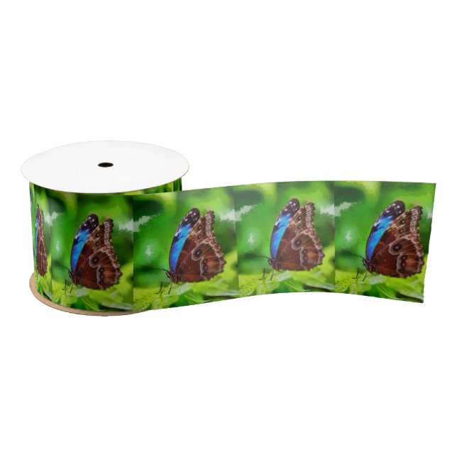 Butterfly painting satin ribbon (Spool)