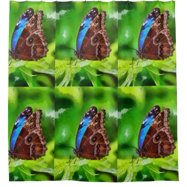 Butterfly painting shower curtain (Front)