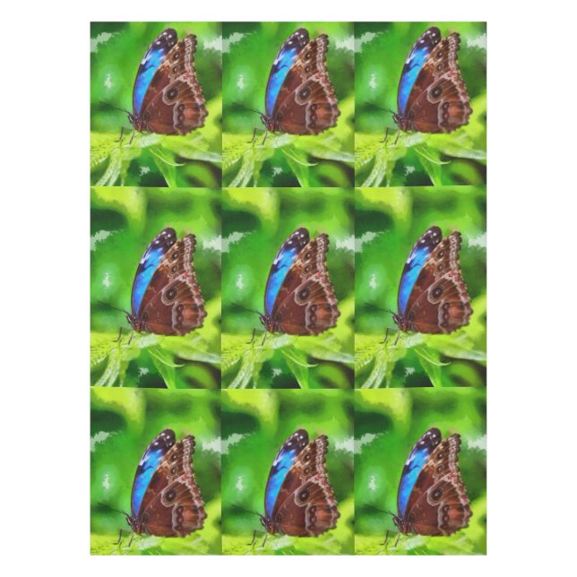 Butterfly painting tablecloth (Front)