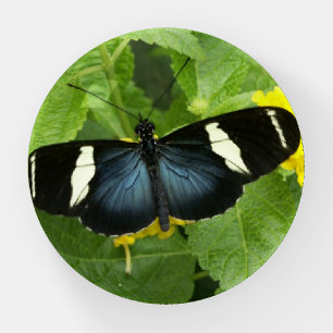 Butterfly Paperweight