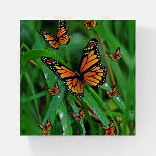 Butterfly Paperweight