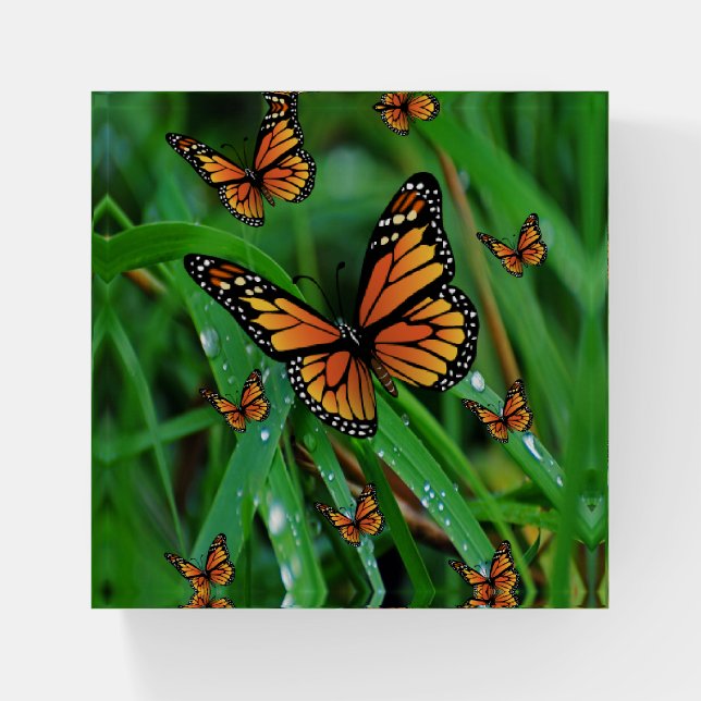 Butterfly Paperweight (Front)