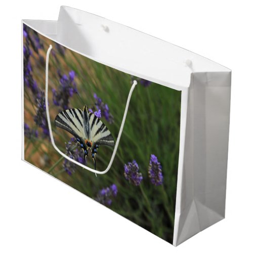 Butterfly _ Papilio machaon on flowering lavender Large Gift Bag