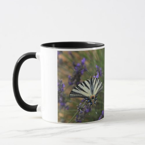 Butterfly _ Papilio machaon on flowering lavender Mug