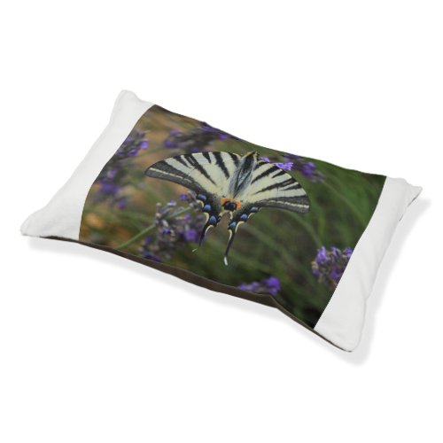 Butterfly _ Papilio machaon on flowering lavender Pet Bed