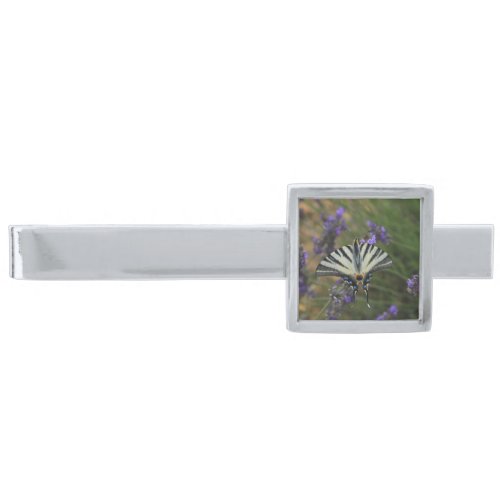 Butterfly _ Papilio machaon on flowering lavender Silver Finish Tie Bar