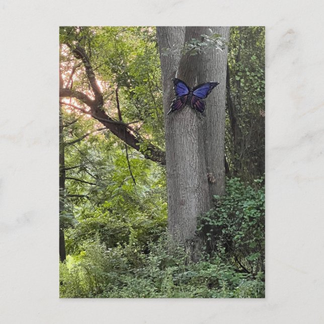 Butterfly Park  Postcard (Front)