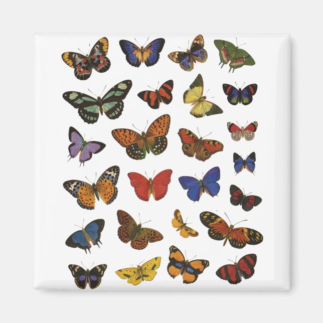 Butterfly Pattern – Nature-Inspired Botanical Magnet (Front)