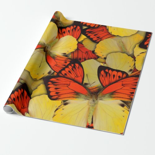 Butterfly pattern wrapping paper
