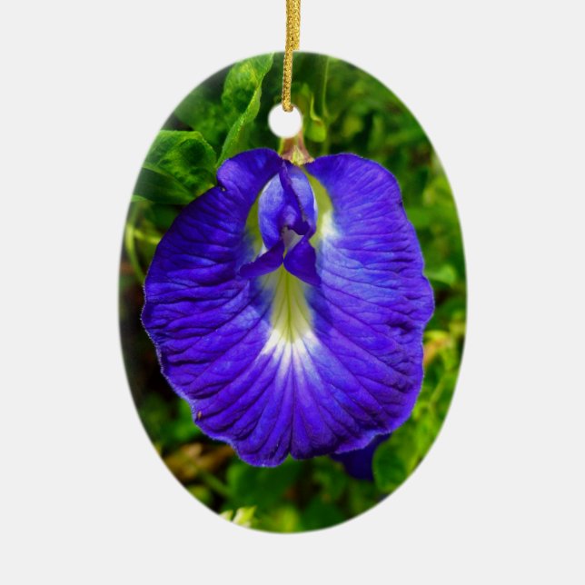 Butterfly Pea Ceramic Ornament (Front)