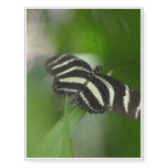 Butterfly Perfection Temporary Tattoos